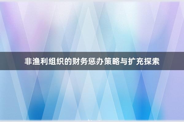 非渔利组织的财务惩办策略与扩充探索